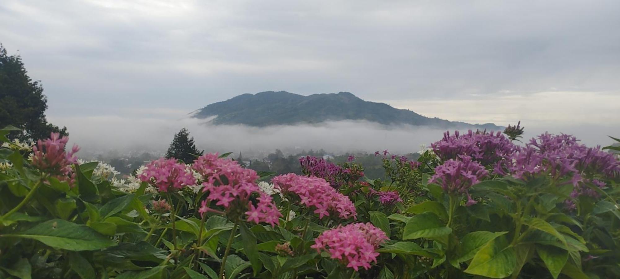 Homestay Chan Que Bao Loc Bagian luar foto