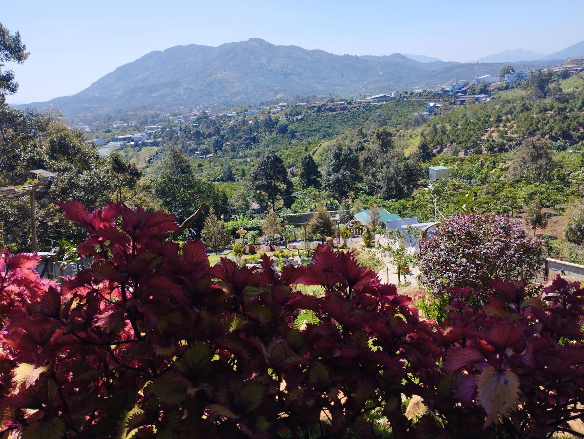 Homestay Chan Que Bao Loc Bagian luar foto